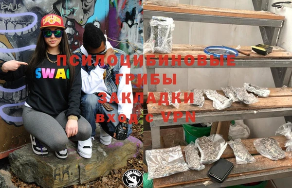каннабис Новокубанск