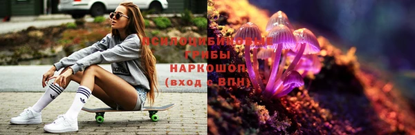 гидропоника Новодвинск