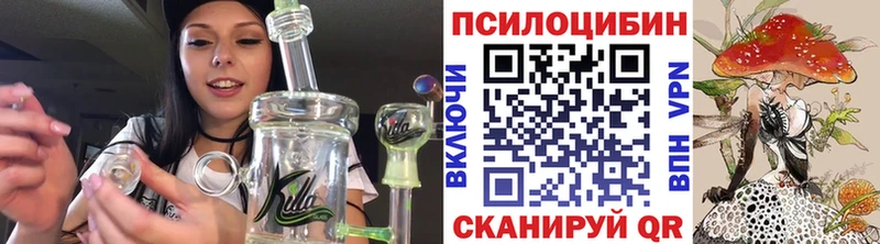 Галлюциногенные грибы Psilocybe  Новотроицк 